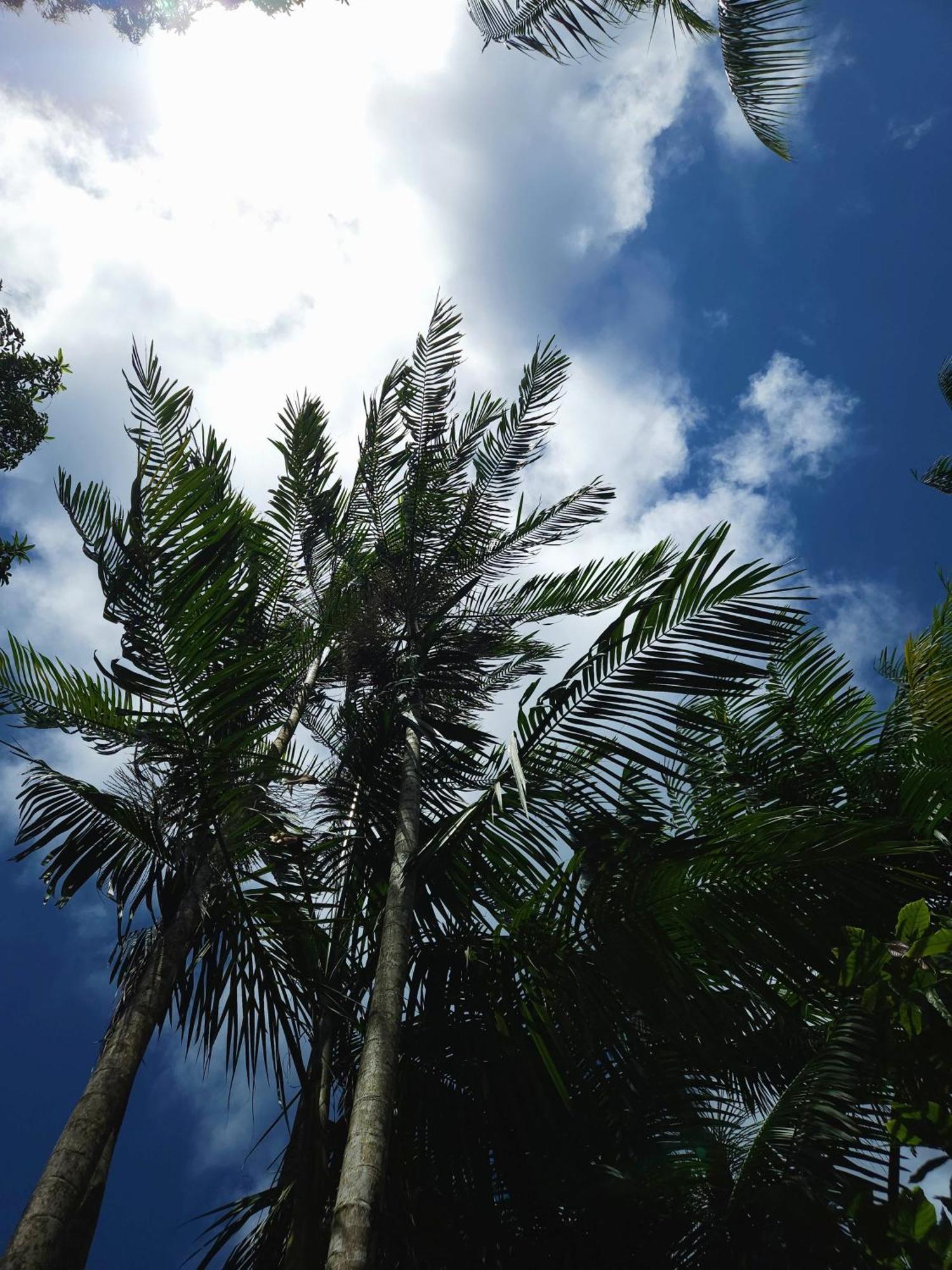 Pousada Ilha Verde Itacare Bagian luar foto